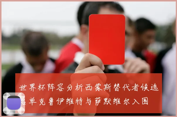 世界杯阵容分析西蒙斯替代者候选名单克鲁伊维特与萨默维尔入围