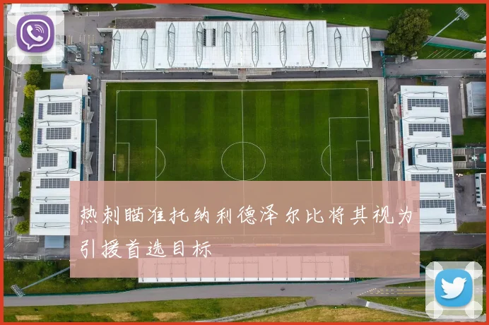 热刺瞄准托纳利德泽尔比将其视为引援首选目标