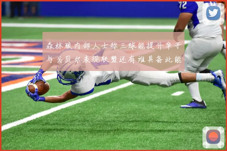 森林狼内部人士称三球能提升华子与戈贝尔表现联盟还有谁具备此能力